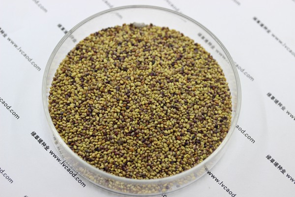 白三葉草種子的種植方法及技巧 白三葉草種子的種植方法及技巧