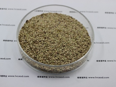 百喜草草籽多少錢一斤，一畝地需要多少？