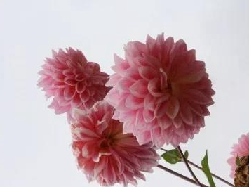 1589958894244106.jpg 微信圖片_20200520151258.jpg