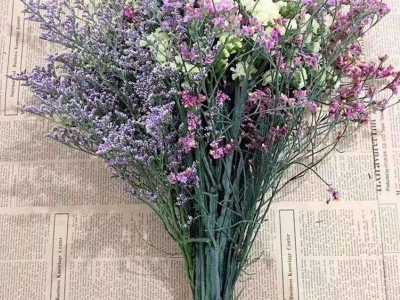 情人草的花語(yǔ)是什么？代表著什么？