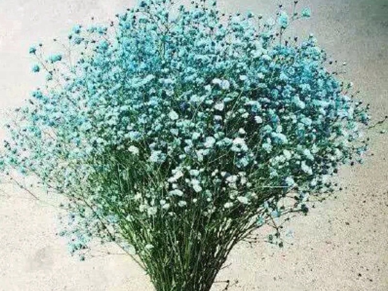 1600253036620089.jpg 2.jpg